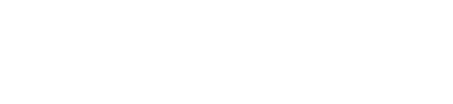 Control Union Logo